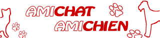 Logo Amichat Amichien